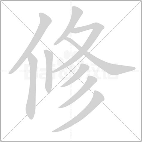 修字|修的意思，修字的意思